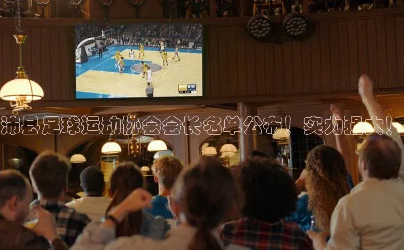 贝博官网下载爱慕股份沛县足球运动协会会长名单公布！实力强大！