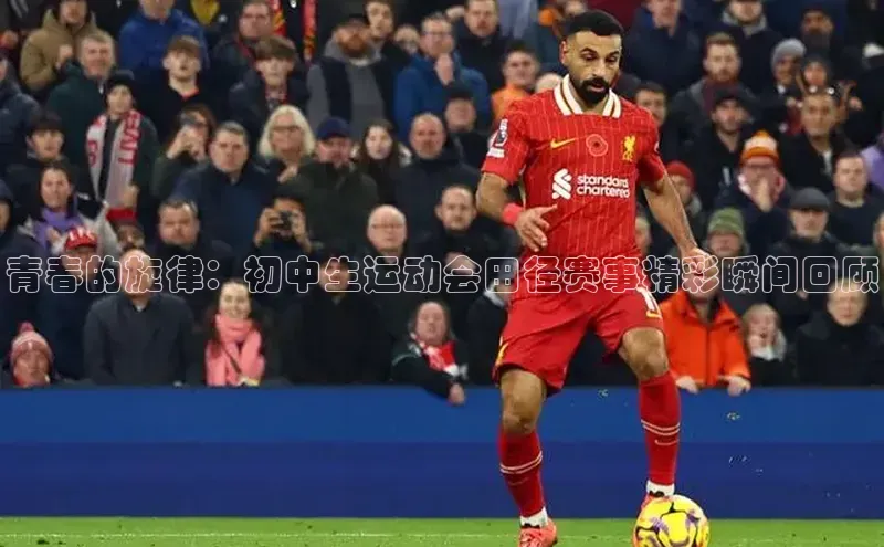 BB贝博平台登录app下载ARGA公司青春的旋律：初中生运动会田径赛事精彩瞬间回顾