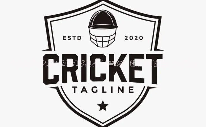 飞跃冰雪之巅：2024冬奥会滑雪项目精彩回顾与未来展望