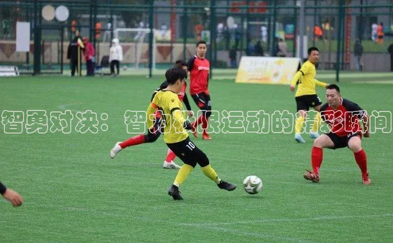 智勇对决：智力极限运动的精彩瞬间