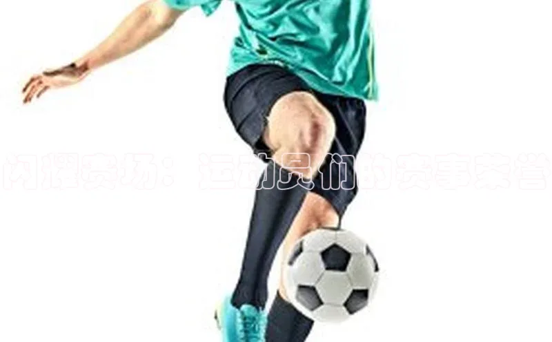 闪耀赛场：运动员们的赛事荣誉