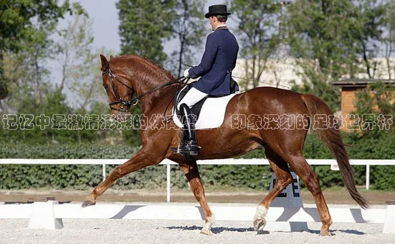 记忆中最激情澎湃的体育盛会：印象深刻的足球世界杯