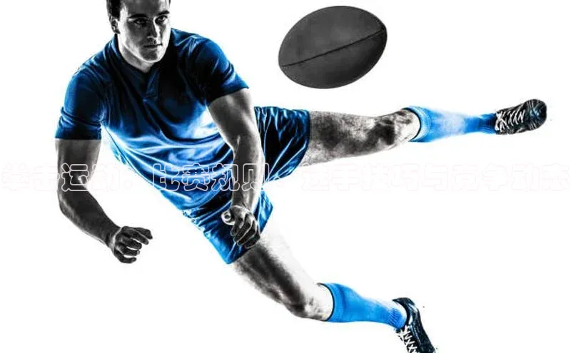 拳击运动：比赛规则、选手技巧与竞争动态