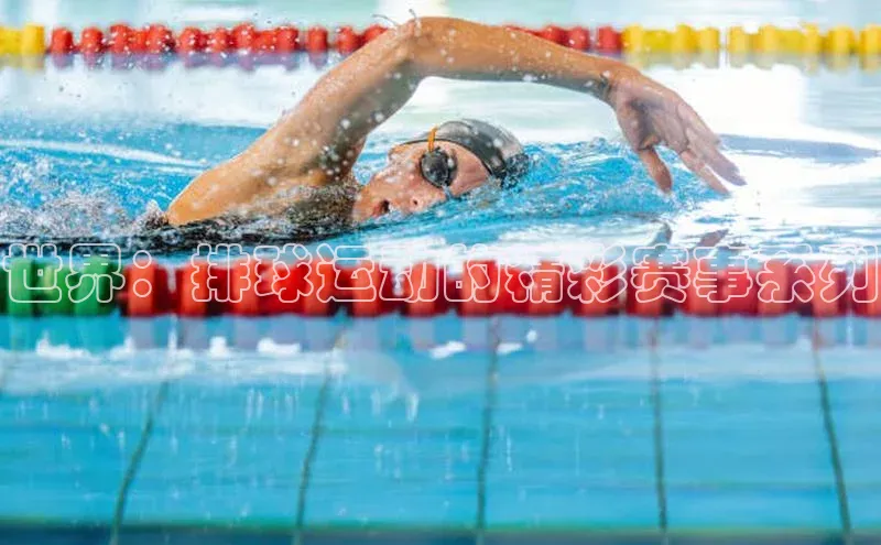 世界：排球运动的精彩赛事系列