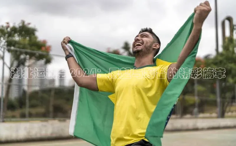 湖北运动会2024：展望与筹备的精彩篇章