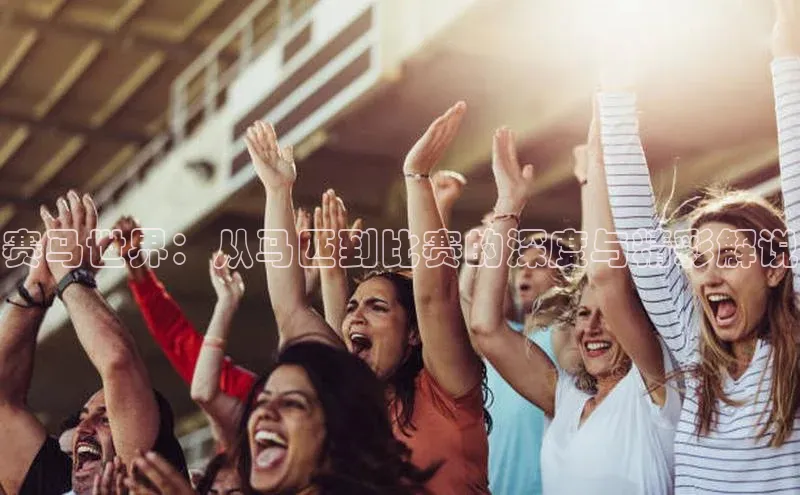 赛马世界：从马匹到比赛的深度与精彩解说