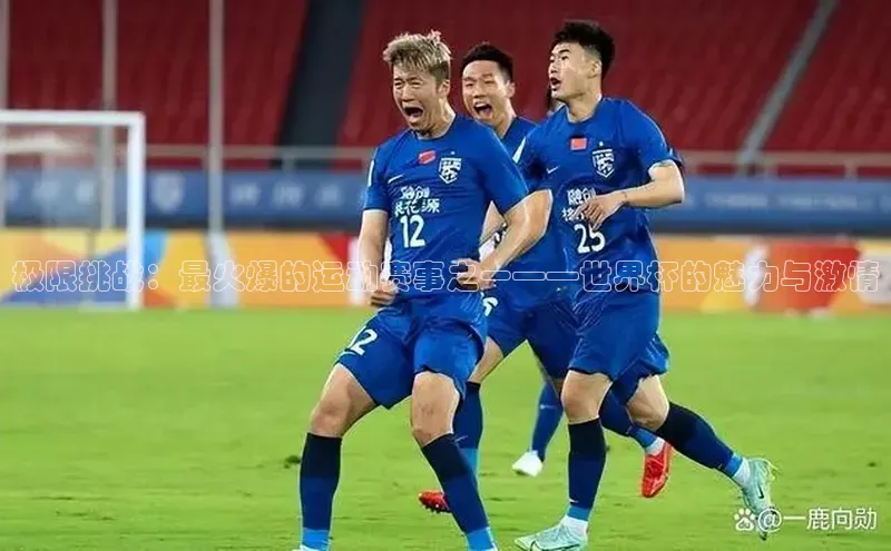 极限挑战：最火爆的运动赛事之一——世界杯的魅力与激情