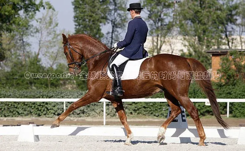 Qwensports：全球顶尖赛事背后的时尚与潮流趋势