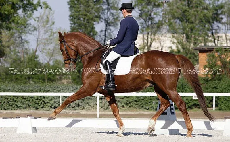 云端视野下的马术盛事：2023年国际马术大奖赛最新资讯与比赛亮点分析