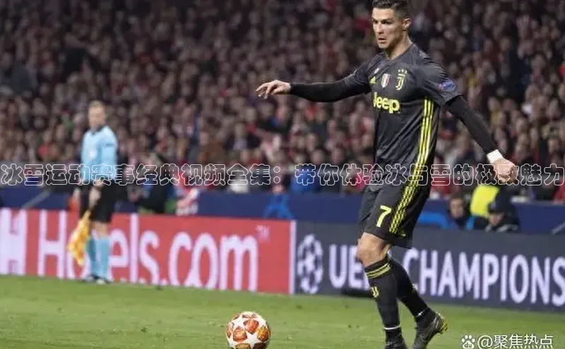 冰雪运动赛事经典视频全集：带你体验冰与雪的极致魅力