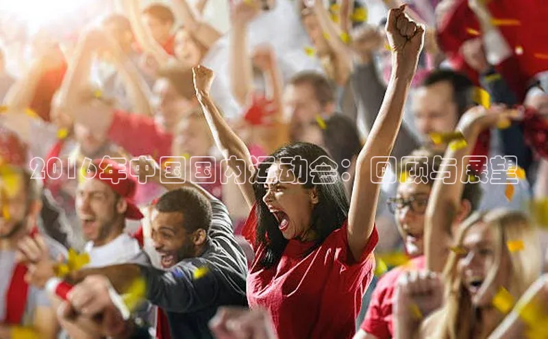 2016年中国国内运动会：回顾与展望