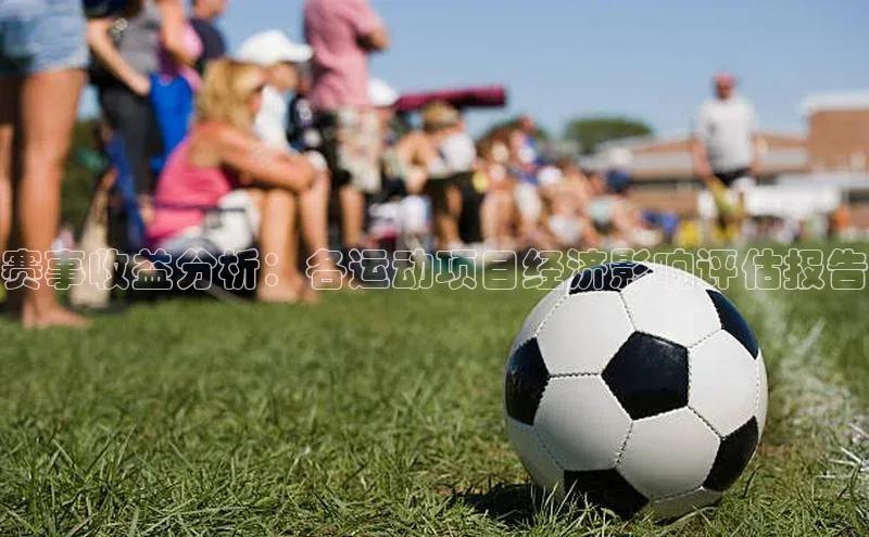 赛事收益分析：各运动项目经济影响评估报告