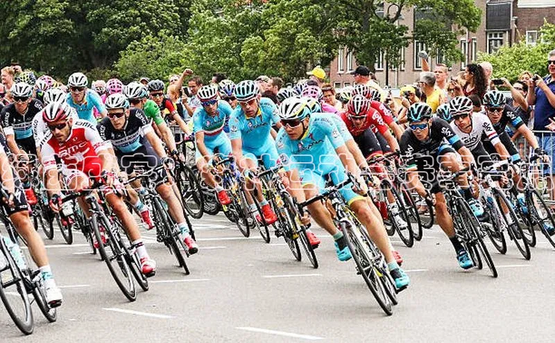 绿茵盛宴：森林运动会赛事亮点