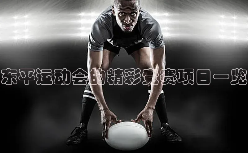 东平运动会的精彩竞赛项目一览