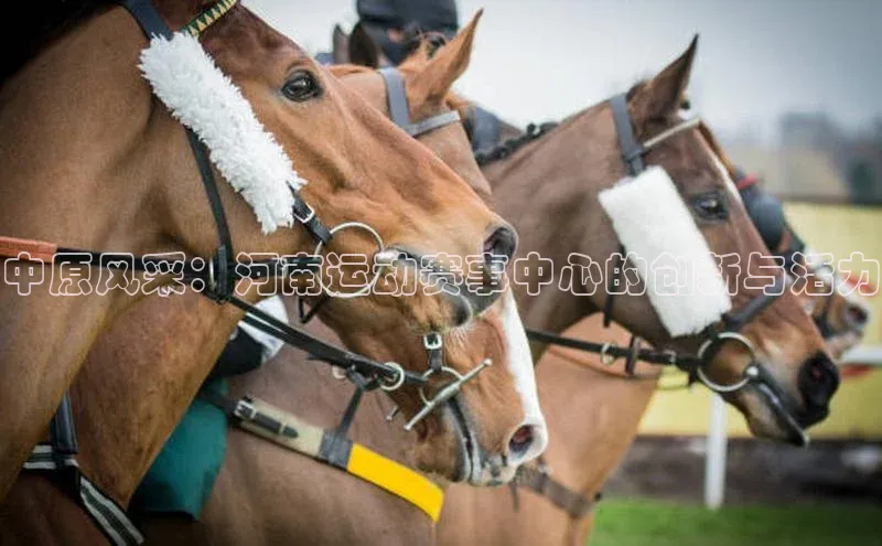 中原风采：河南运动赛事中心的创新与活力