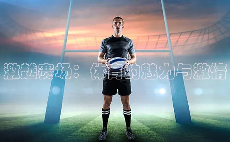 激越赛场：体育的魅力与激情