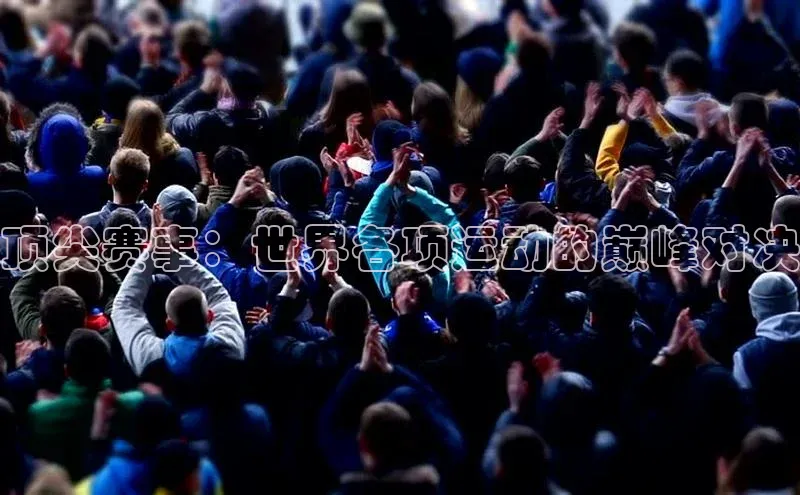 贝博平台网站谁知道