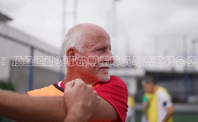 贝博APP体育网页