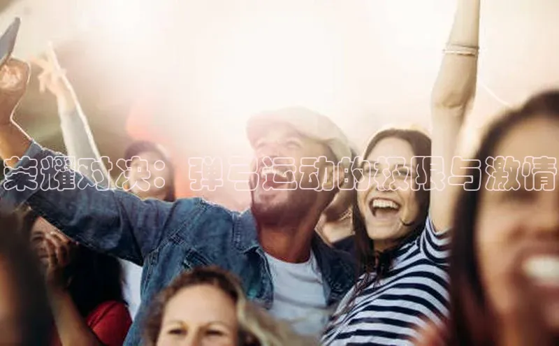 贝博平台网站谁知道