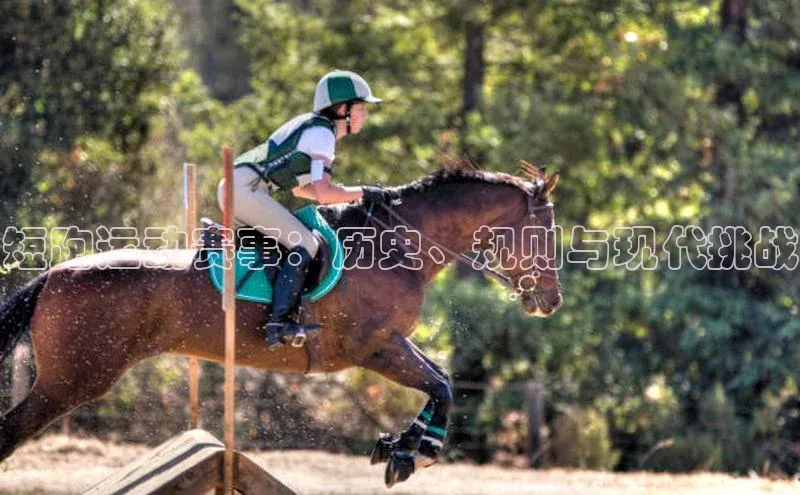 短跑运动赛事：历史、规则与现代挑战